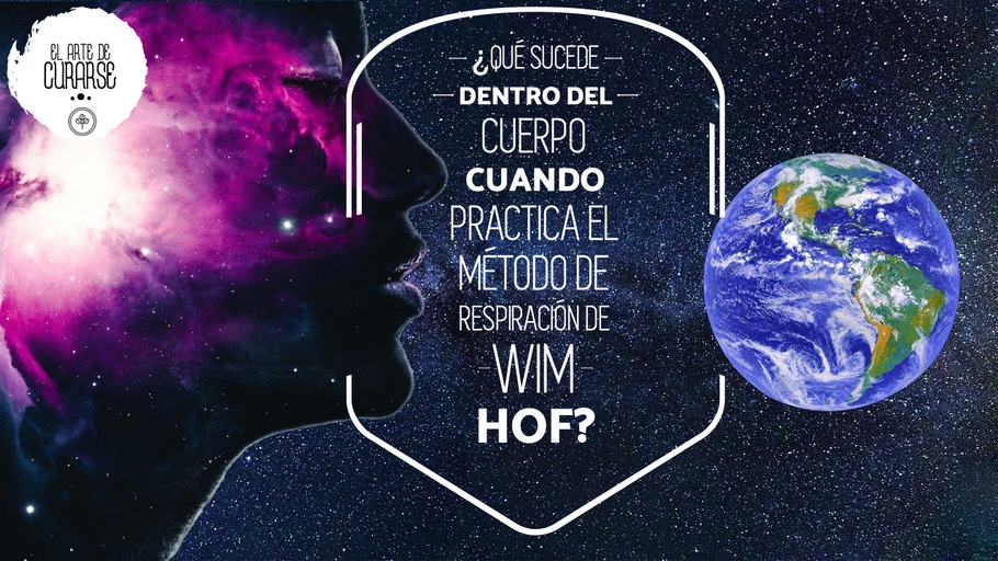 ¿Qué pasa dentro de nuestro cuerpo al practicar el método de respiración Wim Hof?