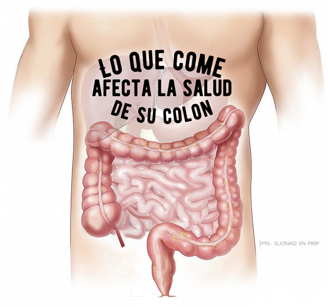 Lo que come afecta la salud de su colon